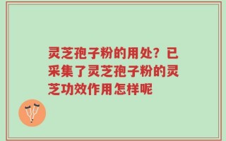 灵芝孢子粉的用处？已采集了灵芝孢子粉的灵芝功效作用怎样呢