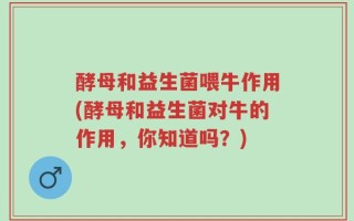 酵母和益生菌喂牛作用(酵母和益生菌对牛的作用，你知道吗？)