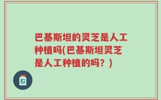 巴基斯坦的灵芝是人工种植吗(巴基斯坦灵芝是人工种植的吗？)