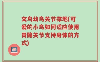 文鸟幼鸟关节撑地(可爱的小鸟如何适应使用骨骼关节支持身体的方式)