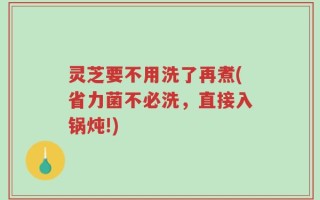 灵芝要不用洗了再煮(省力菌不必洗，直接入锅炖!)