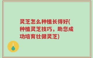 灵芝怎么种植长得好(种植灵芝技巧，助您成功培育壮健灵芝)
