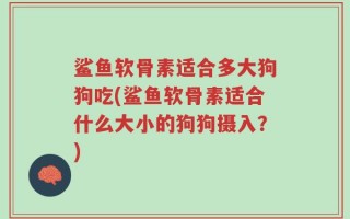 鲨鱼软骨素适合多大狗狗吃(鲨鱼软骨素适合什么大小的狗狗摄入？)