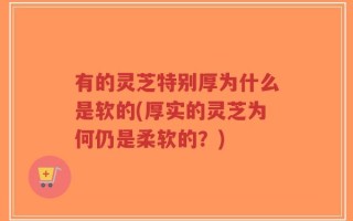 有的灵芝特别厚为什么是软的(厚实的灵芝为何仍是柔软的？)