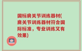 国标肩关节训练器材(肩关节训练器材符合国际标准，专业训练又有效果)