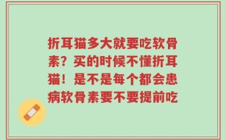 折耳猫多大就要吃软骨素？买的时候不懂折耳猫！是不是每个都会患病软骨素要不要提前吃