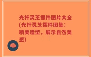 光杆灵芝摆件图片大全(光杆灵芝摆件图集：精美造型，展示自然美感)