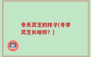 冬天灵芝的样子(冬季灵芝长啥样？)