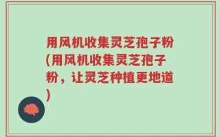 用风机收集灵芝孢子粉(用风机收集灵芝孢子粉，让灵芝种植更地道)