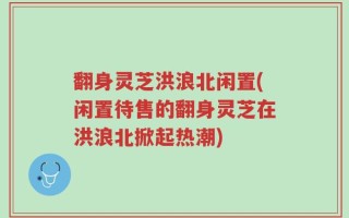 翻身灵芝洪浪北闲置(闲置待售的翻身灵芝在洪浪北掀起热潮)