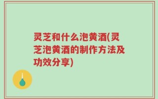 灵芝和什么泡黄酒(灵芝泡黄酒的制作方法及功效分享)