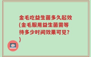 金毛吃益生菌多久起效(金毛服用益生菌需等待多少时间效果可见？)