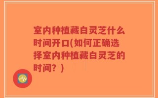 室内种植藏白灵芝什么时间开口(如何正确选择室内种植藏白灵芝的时间？)