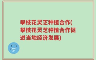 攀枝花灵芝种植合作(攀枝花灵芝种植合作促进当地经济发展)