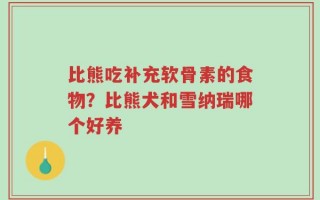 比熊吃补充软骨素的食物？比熊犬和雪纳瑞哪个好养