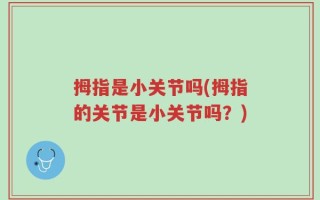 拇指是小关节吗(拇指的关节是小关节吗？)