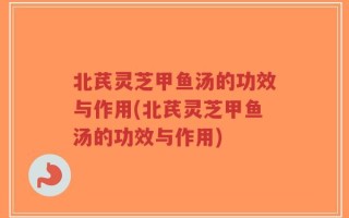北芪灵芝甲鱼汤的功效与作用(北芪灵芝甲鱼汤的功效与作用)