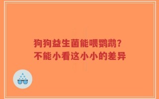 狗狗益生菌能喂鹦鹉？不能小看这小小的差异
