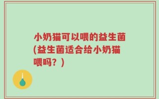 小奶猫可以喂的益生菌(益生菌适合给小奶猫喂吗？)