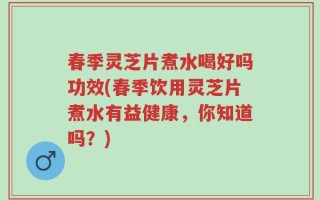 春季灵芝片煮水喝好吗功效(春季饮用灵芝片煮水有益健康，你知道吗？)