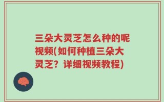三朵大灵芝怎么种的呢视频(如何种植三朵大灵芝？详细视频教程)