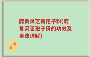 鹿角灵芝有孢子粉(鹿角灵芝孢子粉的功效及用法详解)