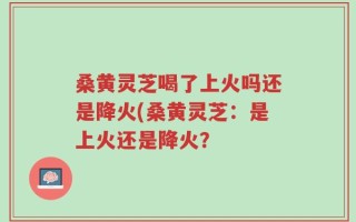 桑黄灵芝喝了上火吗还是降火(桑黄灵芝：是上火还是降火？