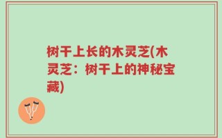 树干上长的木灵芝(木灵芝：树干上的神秘宝藏)