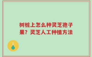 树桩上怎么种灵芝孢子果？灵芝人工种植方法