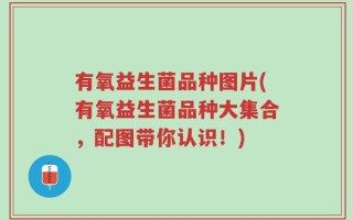 有氧益生菌品种图片(有氧益生菌品种大集合，配图带你认识！)