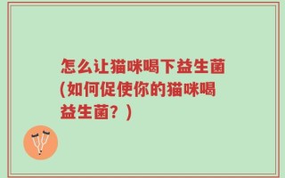 怎么让猫咪喝下益生菌(如何促使你的猫咪喝益生菌？)