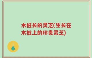 木桩长的灵芝(生长在木桩上的珍贵灵芝)