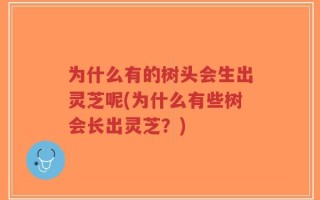 为什么有的树头会生出灵芝呢(为什么有些树会长出灵芝？)