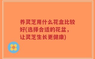 养灵芝用什么花盒比较好(选择合适的花盆，让灵芝生长更健康)