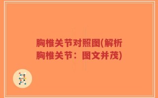 胸椎关节对照图(解析胸椎关节：图文并茂)