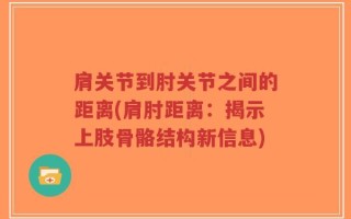 肩关节到肘关节之间的距离(肩肘距离：揭示上肢骨骼结构新信息)