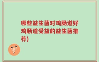 哪些益生菌对鸡肠道好鸡肠道受益的益生菌推荐)