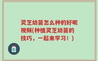 灵芝幼苗怎么种的好呢视频(种植灵芝幼苗的技巧，一起来学习！)