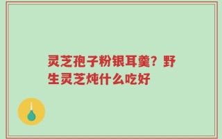 灵芝孢子粉银耳羹？野生灵芝炖什么吃好