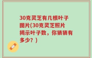 30克灵芝有几根叶子图片(30克灵芝照片揭示叶子数，你猜猜有多少？)