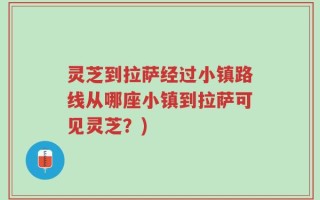灵芝到拉萨经过小镇路线从哪座小镇到拉萨可见灵芝？)