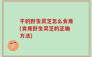 干的野生灵芝怎么食用(食用野生灵芝的正确方法)