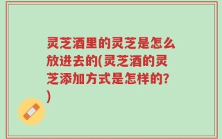 灵芝酒里的灵芝是怎么放进去的(灵芝酒的灵芝添加方式是怎样的？)