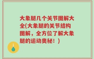 大象腿几个关节图解大全(大象腿的关节结构图解，全方位了解大象腿的运动奥秘！)