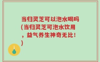 当归灵芝可以泡水喝吗(当归灵芝可泡水饮用，益气养生神奇无比！)