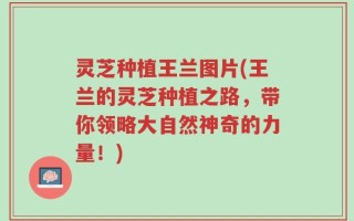 灵芝种植王兰图片(王兰的灵芝种植之路，带你领略大自然神奇的力量！)