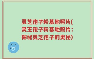 灵芝孢子粉基地照片(灵芝孢子粉基地照片：探秘灵芝孢子的奥秘)