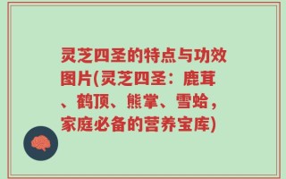 灵芝四圣的特点与功效图片(灵芝四圣：鹿茸、鹤顶、熊掌、雪蛤，家庭必备的营养宝库)
