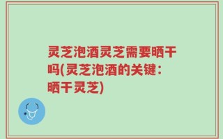 灵芝泡酒灵芝需要晒干吗(灵芝泡酒的关键：晒干灵芝)