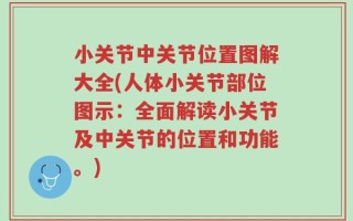 小关节中关节位置图解大全(人体小关节部位图示：全面解读小关节及中关节的位置和功能。)
